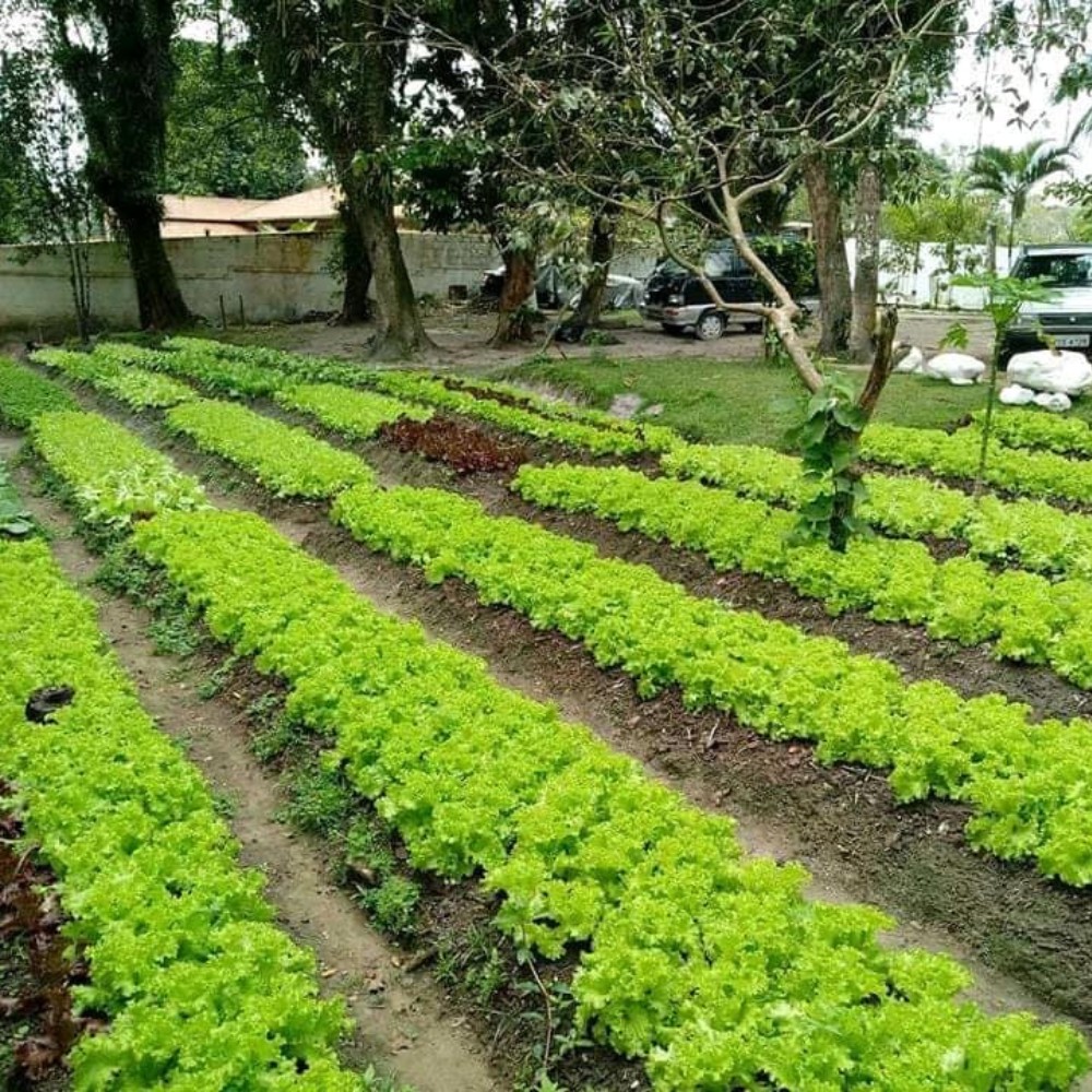 Comunidade Terapêutica (CT) 03