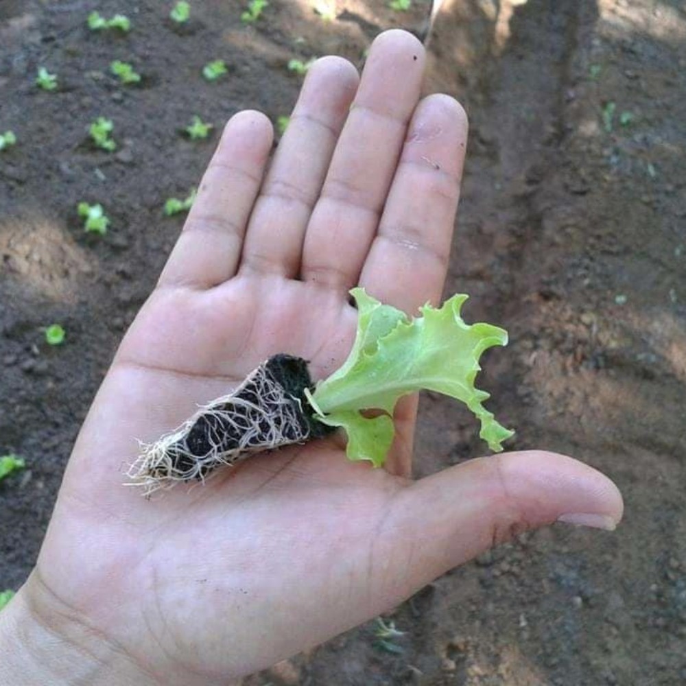 Comunidade Terapêutica (CT) 04